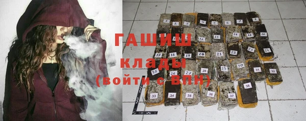 гашик Мегион