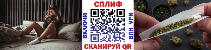 Бошки Шишки гибрид  хочу   Билибино 